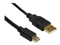 StarTech.com Adaptateur Mini DisplayPort vers DVI Dual-Link alimenté par USB - Compatible Windows et Mac - Noir (MDP2DVID2) - Convertisseur vidéo - Mini DisplayPort - DVI - noir MDP2DVID2