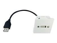 Plastron - Plaque - USB Type A 2061460